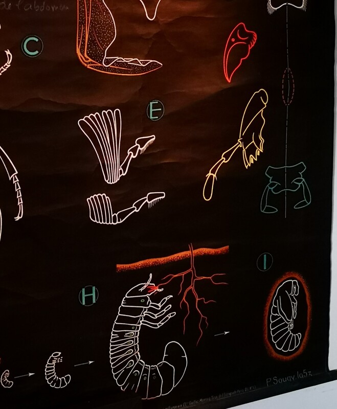 Old educational poster