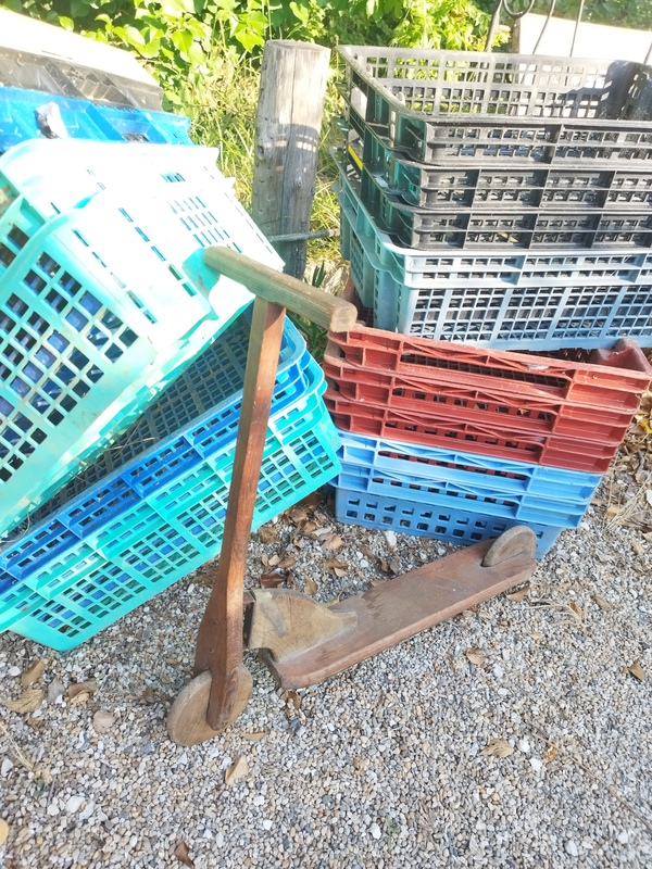 Old children's scooter