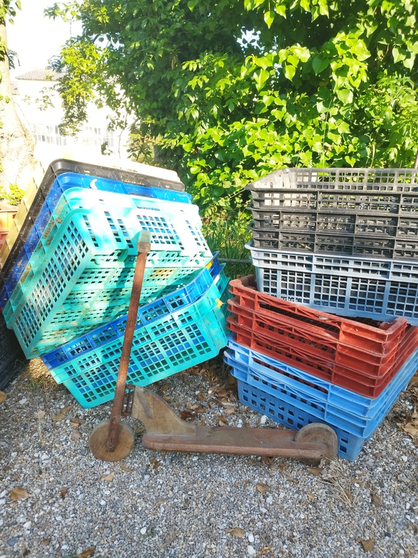 Old children's scooter