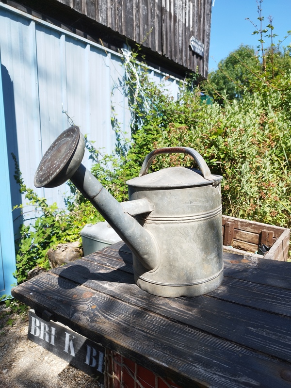 Old vintage watering can 