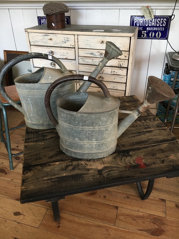 Old zinc watering can