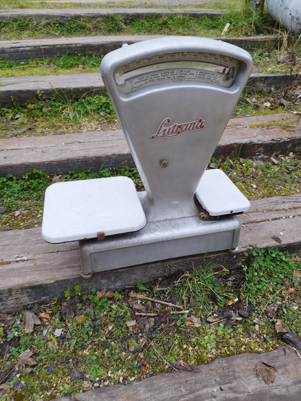 Lutrana Grocery Scale