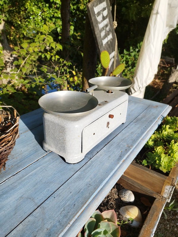 Enameled Orix Scales