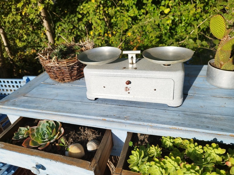 Enameled Orix Scales