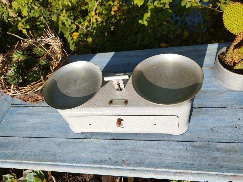 Enameled Orix Scales