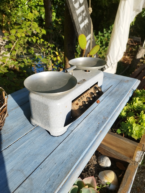 Enameled Orix Scales