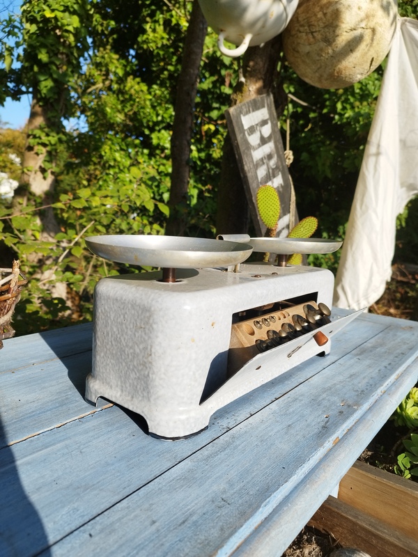 Enameled Orix Scales