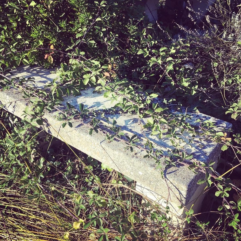 Cement bench