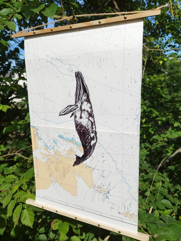 Bic on old nautical charts Tommy Bim