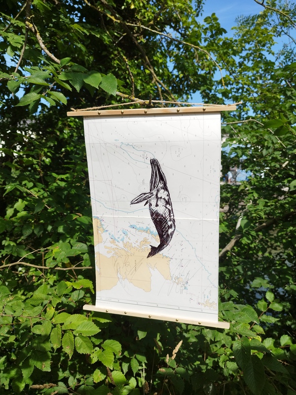 Bic on old nautical charts Tommy Bim