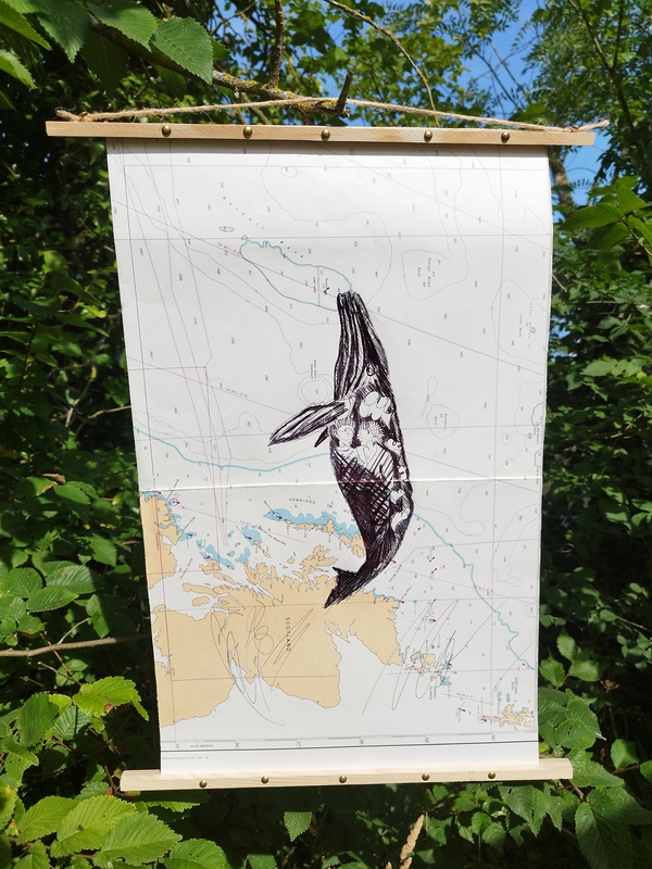 Bic on old nautical charts Tommy Bim