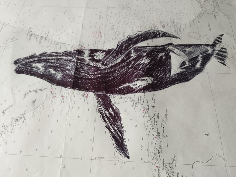 Bic on old nautical charts Tommy Bim