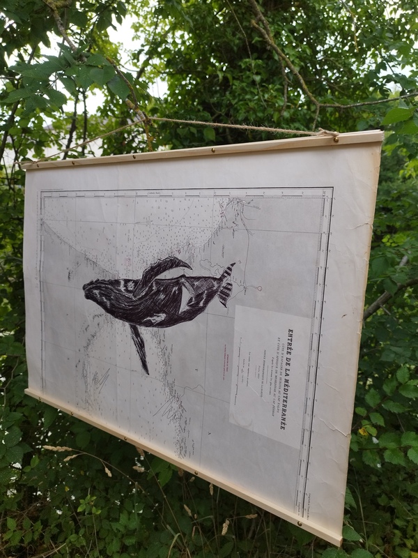 Bic on old nautical charts Tommy Bim