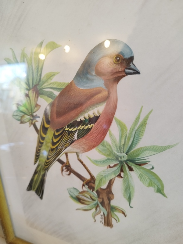 Naturalistic setting