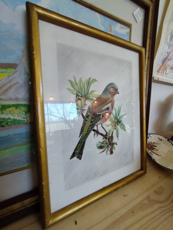 Naturalistic setting