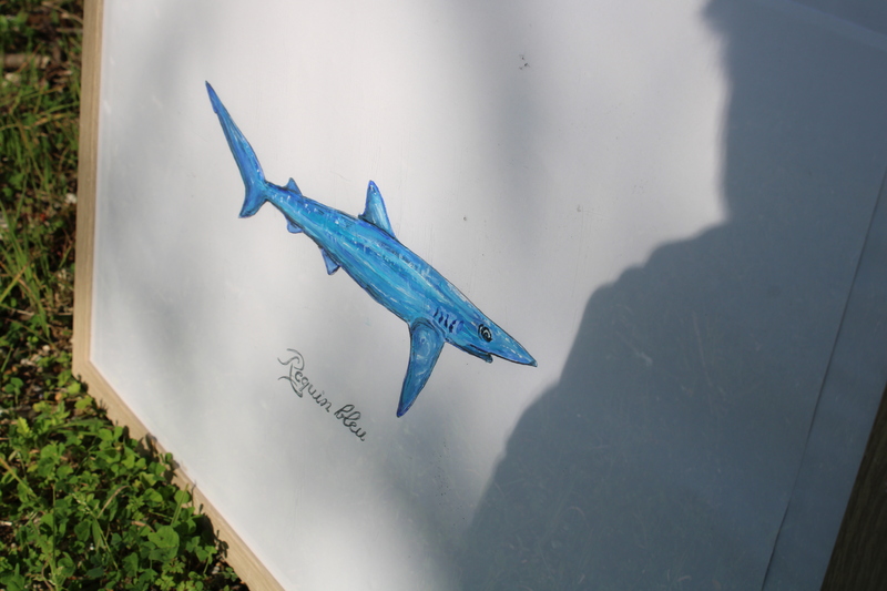 Naturalist framework 2024 