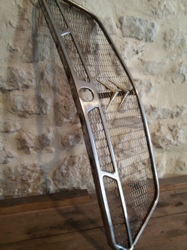 Citroen Dyane grille