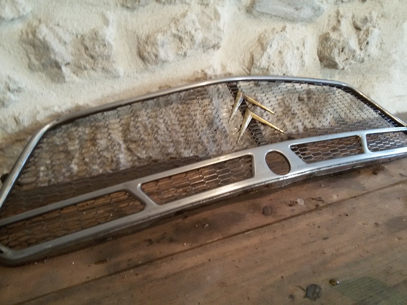 Citroen Dyane grille