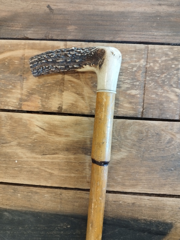 lot of two old canes 