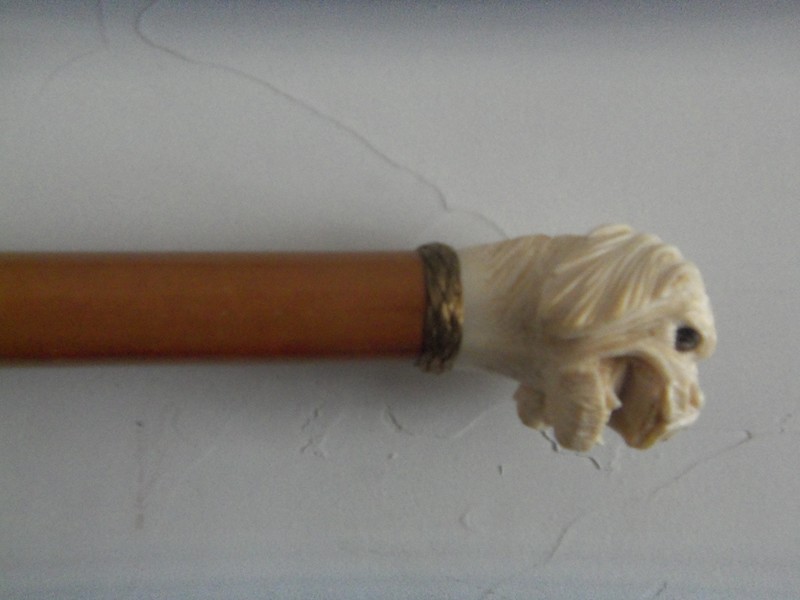 Ancient canes with system