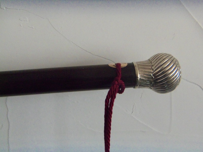 Ancient canes with system