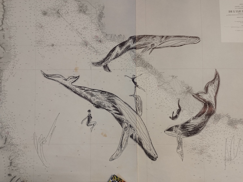 Old nautical charts X Tommy Bim