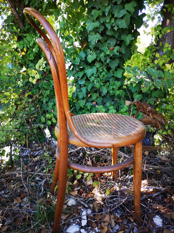 Bentwood bistro chair