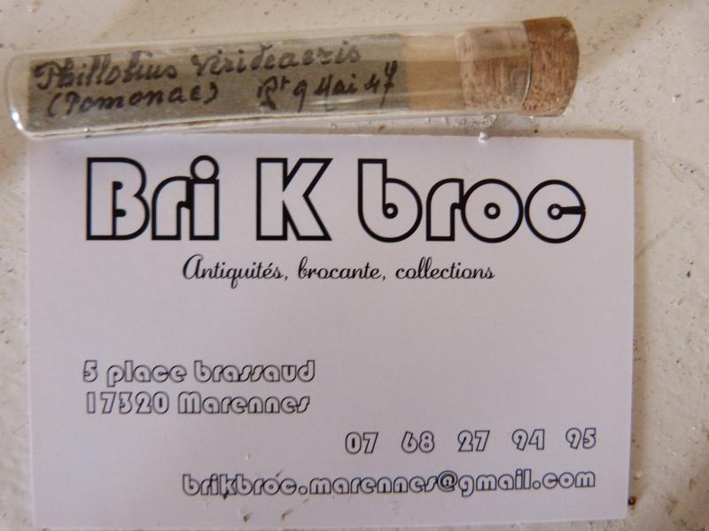 Entomological collection