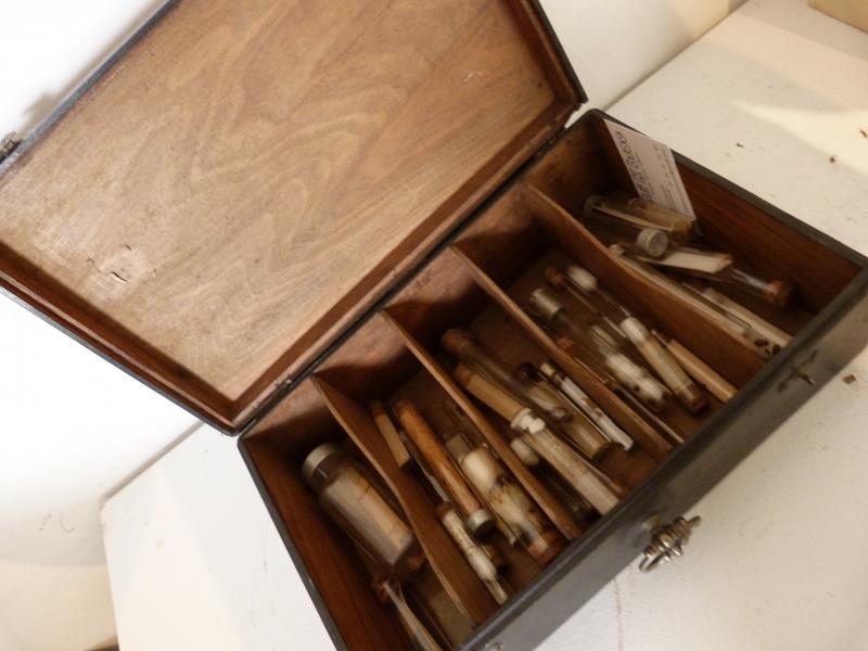 Entomological collection