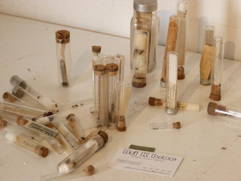 Entomological collection