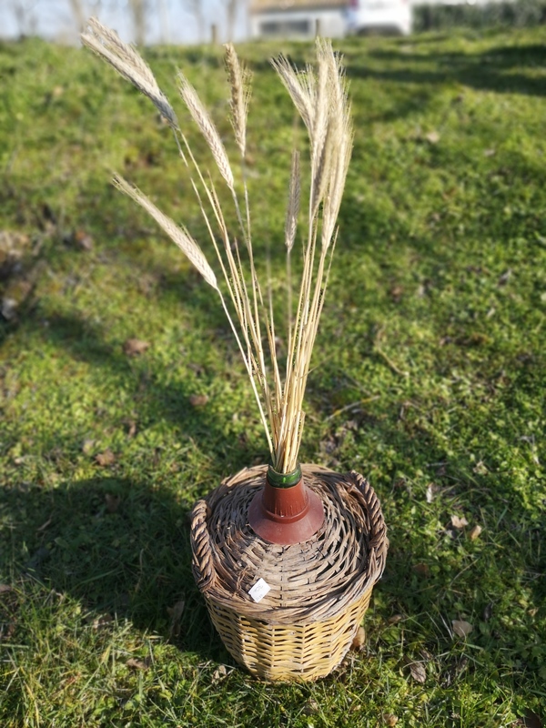 Dame Jeanne surrounded by wickerwork
