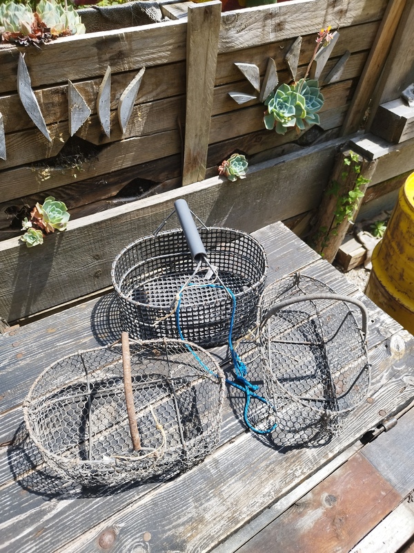 Panier de pêche à pied