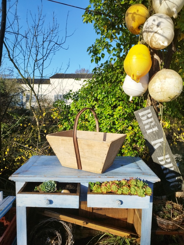 Large grape harvesting basket