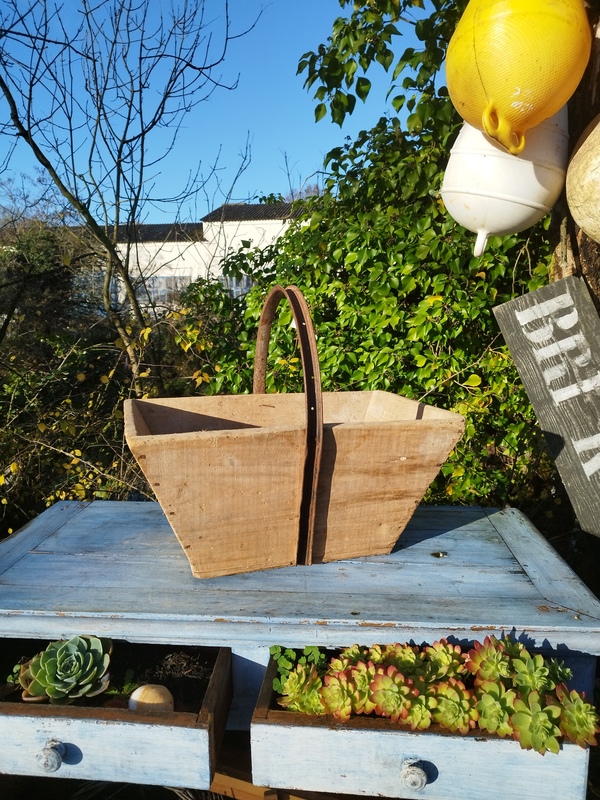 Large grape harvesting basket