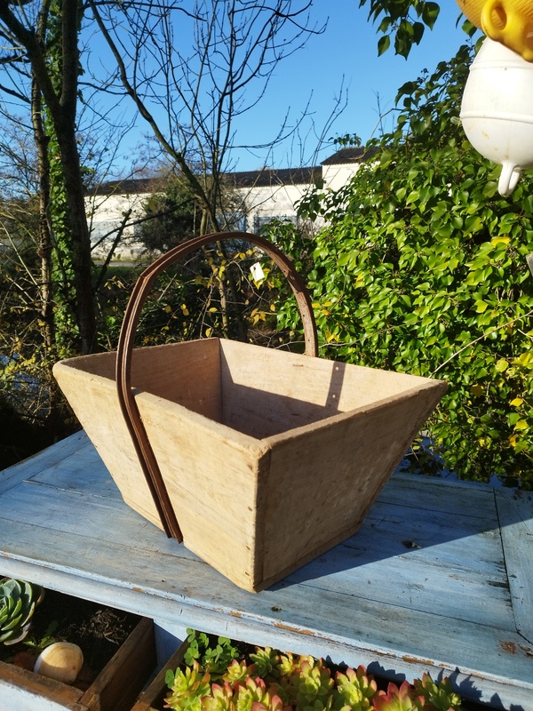 Large grape harvesting basket