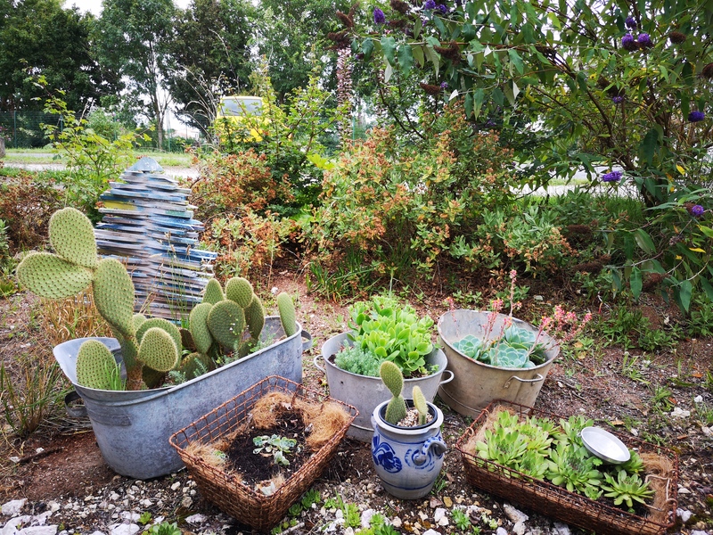 Garden nothing new 0 plastic