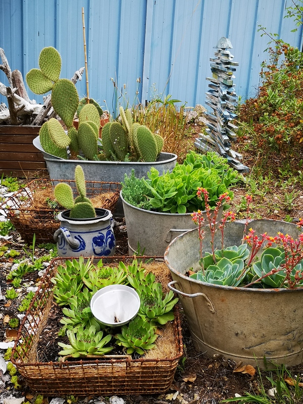 Garden nothing new 0 plastic