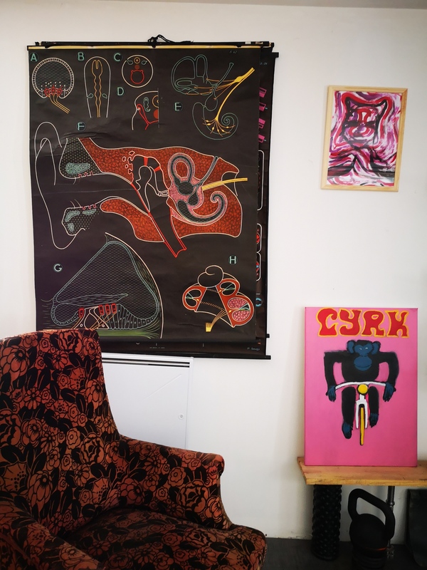 The ear Dr Auzoux P. Sougy