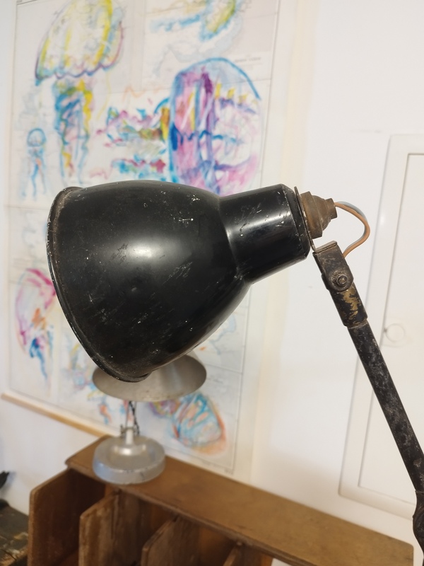 Mazda workshop light