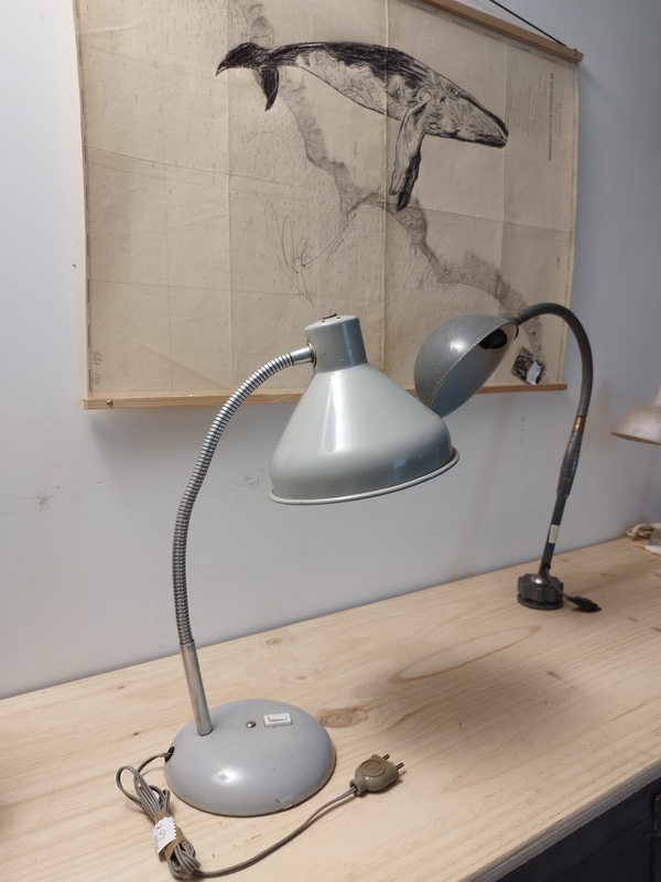 Jumo lamp