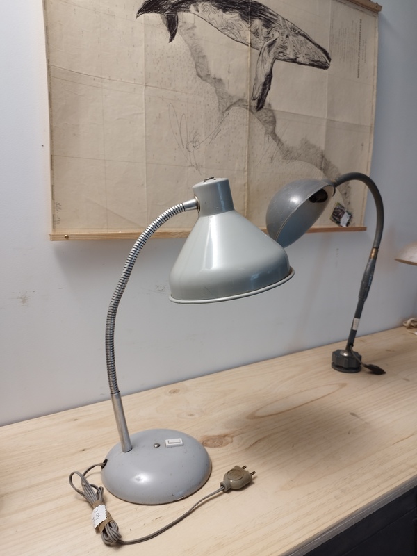 Jumo lamp