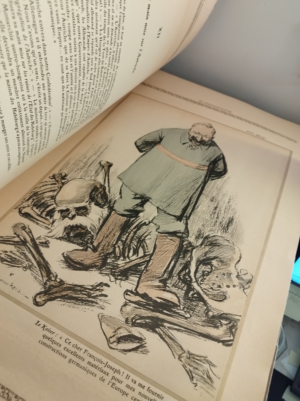 The Origins of War Raemaekers Drawings