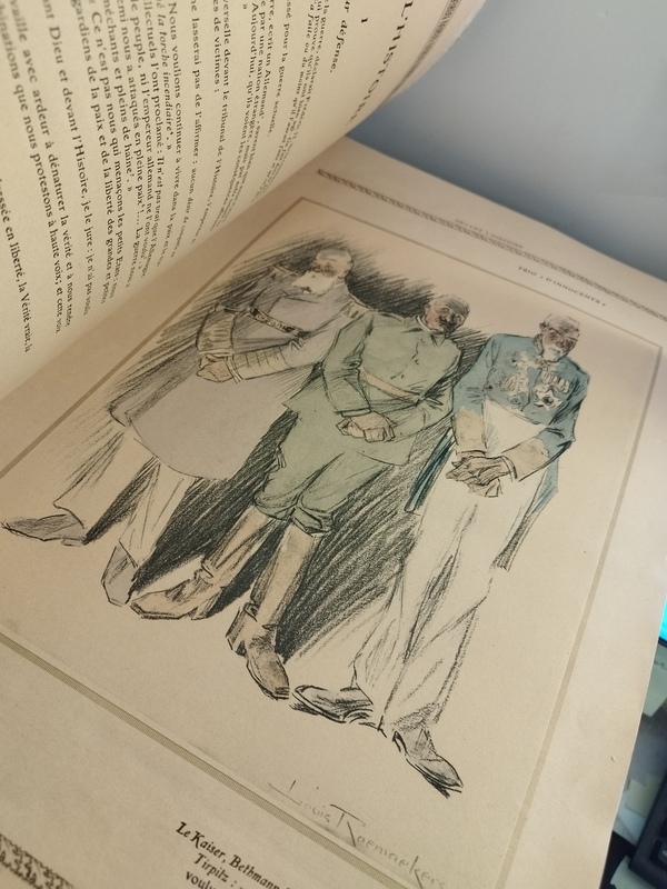 The Origins of War Raemaekers Drawings