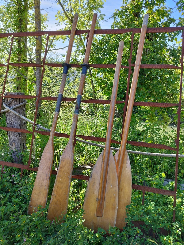 Lot of oars for old dinghy
