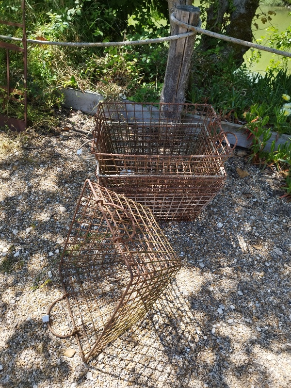 Manna of oysters oyster basket