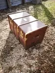 1950s old trunk