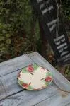 19th century plate BR Choisy le Roi