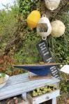 20th Century Old Pond Sailboat 