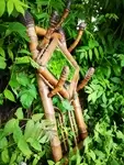 50s bamboo locker