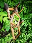 50s bamboo locker